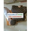 tangma2088.com WhatsApp officiel +8613489598361 Livraison rapide et fiable meilleur prix Q106